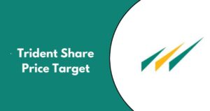 Trident Share Price Target