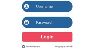 What is a Username?