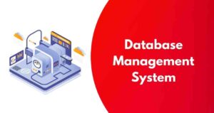 What is DBMS (Database Management System)