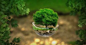 Environment